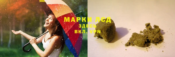 прущие грибы Алзамай