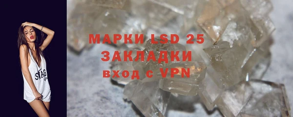 прущие грибы Алзамай