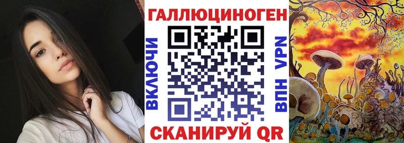 Псилоцибиновые грибы GOLDEN TEACHER купить цена Шлиссельбург