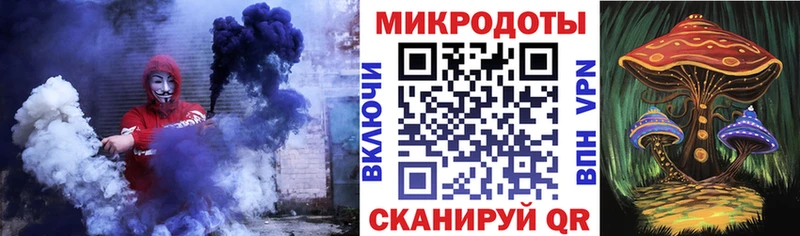 Галлюциногенные грибы Psilocybe Шлиссельбург